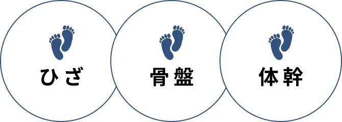 ひざ・骨盤・体幹